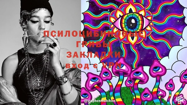 spice Армянск