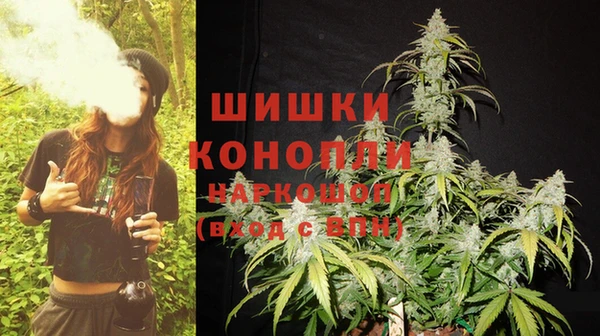 крисы Аркадак