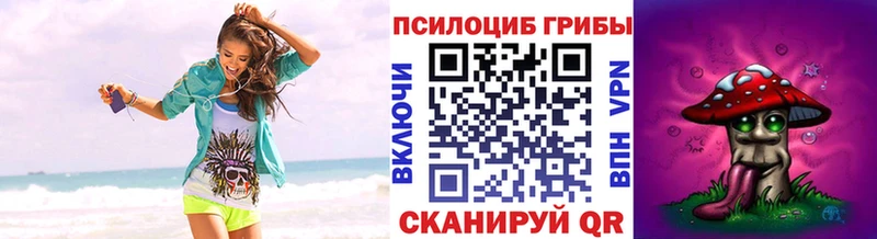 Псилоцибиновые грибы Magic Shrooms  Никольск 